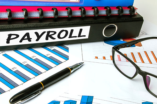Carte Hall offers a variety of business payroll services & options in Elkins, WV